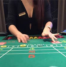yesclub88 Sukan, Odds dan Pengeluaran dalam Satu Tempat